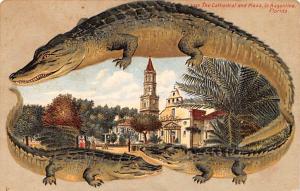 The Cathedral and Plaza, St. Augustine, Florida USA Alligator Border 1910 min...