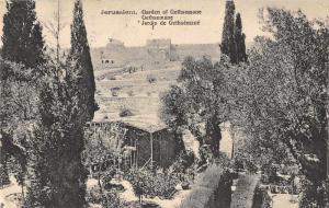 Jerusalem Israel Garden of Gethsemane Scenic View Antique Postcard J79337