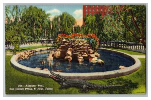 Alligator Pool San Jacinto Plaza El Paso Texas Vintage Standard View Postcard