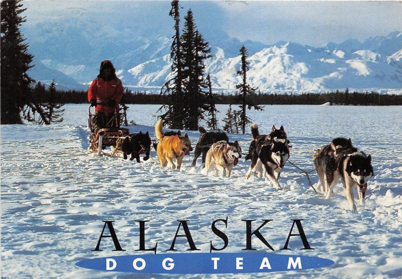 US11 USA Alaska dog sled team 1996