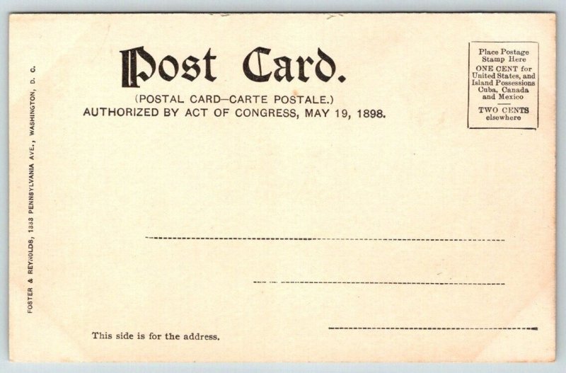 The Capitol Building  Washington DC  Postcard  c1901