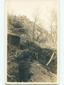 Bent Corner Pre-1949 rppc UPROOTED TREES ON HILLSIDE o2144