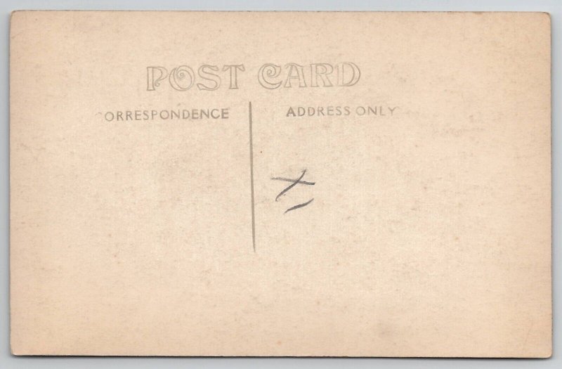 RPPC People in Park Rustic Bridge Rail Picnic Women Children Postcard E24