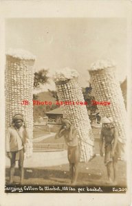 India, RPPC, Carrying Cotton to Market, Thaddeus Wilkerson No 209