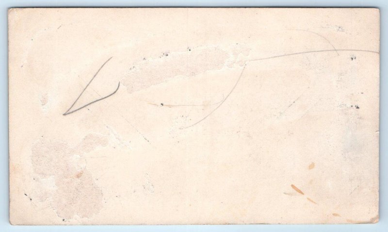 EVERLY, IA Iowa ~ PUBLIC SCHOOL c1910s  Clay County Blank Back Postcard