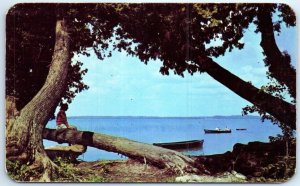 Postcard - Summer at the Lake