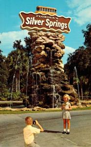 Florida Silver Springs Beautiful Rustic Fountain