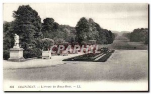 Old Postcard Compiegne The Avenue des Beaux Monts