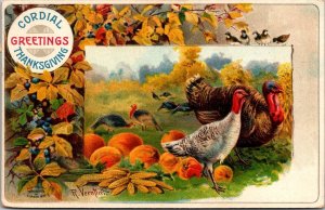 Turkeys and Pumpkins, Cordial Thanksgiving Greetings Embossed c1909 Postcard Q58