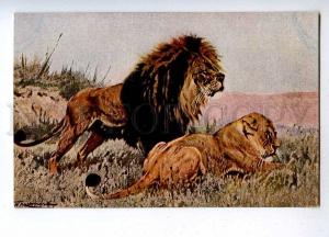 189207 RUSSIA HUNTING LIONS Lords desert Vintage Fedorov