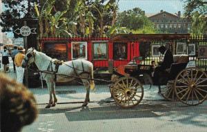 Louisiana New Orleans French Quarter Sightseeing Carriage
