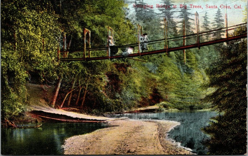 Vtg 1910s Swinging Bridge Big Trees Santa Cruz California CA Unused Postcard