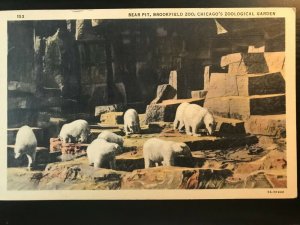 Vintage Postcard 1935 Bear Pit, Brookfield Zoo, Chicago Illinois (IL)