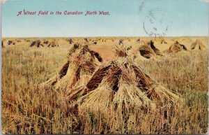 Wheat Field in Canadian North West Canada c1912 Barons Alta Cancel Postcard H59