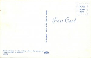 Postcard Beachcombing In The Spring Lake Michigan 