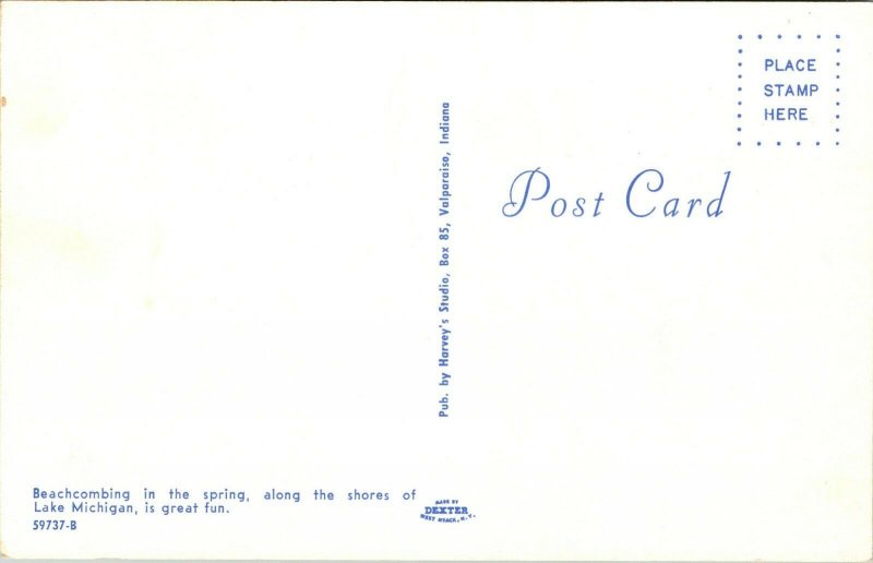 Postcard Beachcombing In The Spring Lake Michigan 