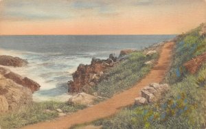 LPS10 Ogunquit Maine Marginal Way Path to the Sea Hand Colored Postcard
