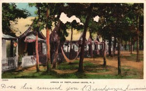 Vintage Postcard 1908 Avenue Of Tents Along Pine Trees Ocean Grove New Jersey