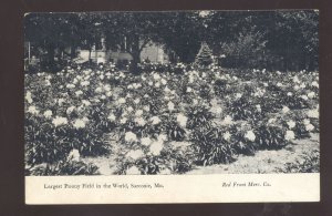 SARCOXIE MISSOURI WORLD'S LARGEST PEONY FIELD VINTAGE POSTCARD 1909