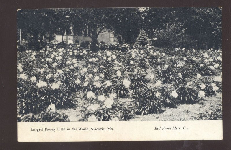 SARCOXIE MISSOURI WORLD'S LARGEST PEONY FIELD VINTAGE POSTCARD 1909