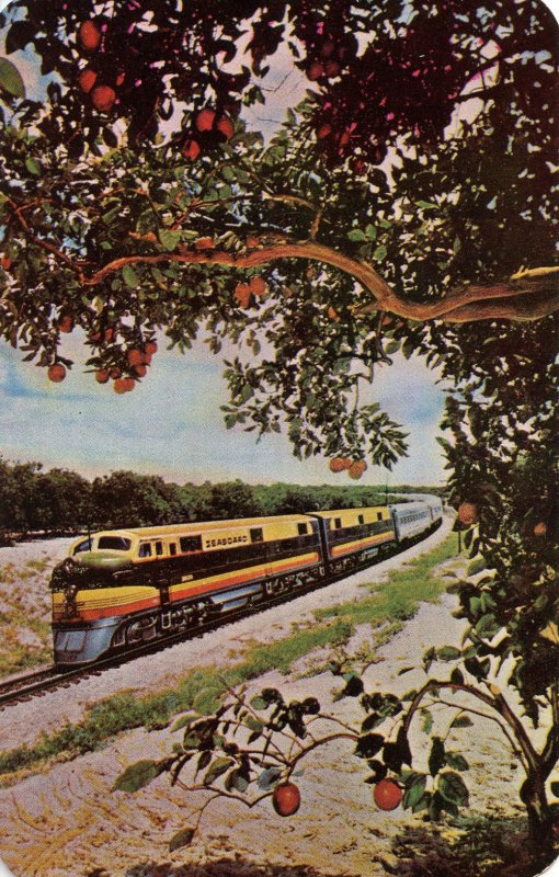 Seaboard Airline Railroad - The silver Meteor