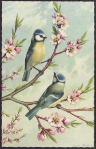 Birds,Flowers,Mainzer Postcard