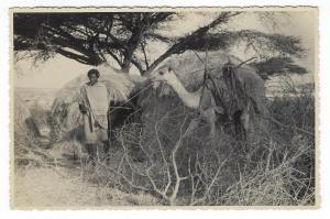 Estimated WW2 Era Real Photo Postcard - Possibly North East Africa - (OO93)