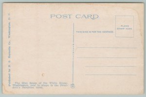 Washington DC~Blue Room White House~1920s Postcard