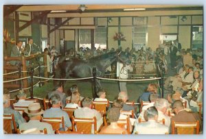 1960 Lexington Kentucky Postcard Yearling Sales Keeneland Race Course Restaurant