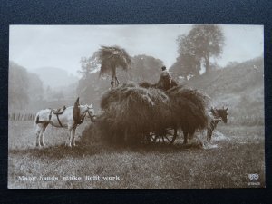 Country Farming Life WORKING SHIRE HORSE Collecting Hay c1911 RP Postcard by EAS