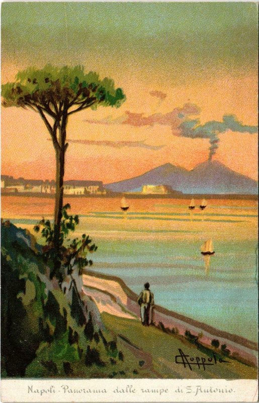 CPA Napoli Panorama dalle rampe di S. Antonio ITALY (801104)