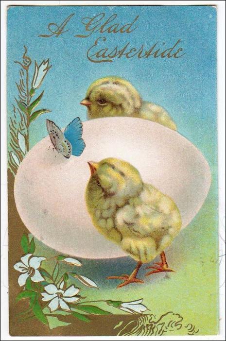 A Glad Eastertide - Baby Chicks & Egg