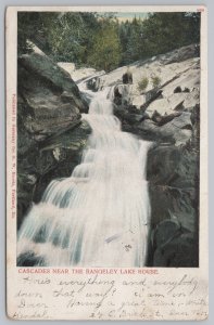 State View~Cascades Near Rangeley Lake House~Vintage Postcard