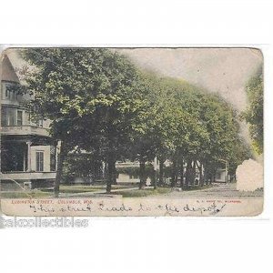 Ludington Street-Columbus,Wisconsin 1908