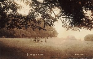 FARNHAM PARK SURREY ENGLAND-GRAZING DEER~1917 W H APPLEBEE PHOTO POSTCARD