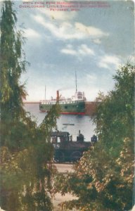 Petoskey MI View From Pere Marquette Railway Park 1911 Postcard Used Flag Cancel