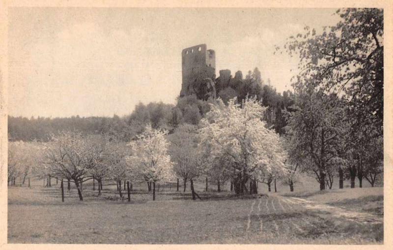 Czech Slovakia Valecova Castle Ruins Scenic View Antique Postcard J77516