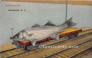 Carload of Fish - Mongaup, New York NY  
