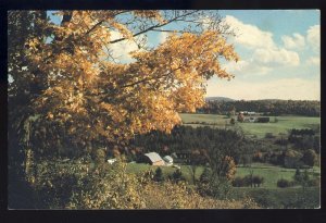 Beautiful Vermont/VT Postcard, Farm Houses & Barn In Autumn