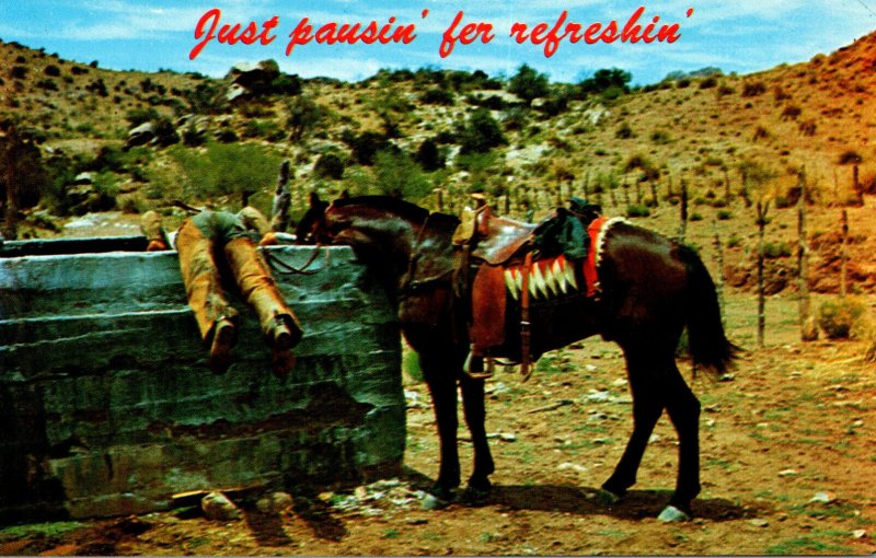 Humour Cowboy and Horse Drinking Water Just Pausin' Fer Refreshin'