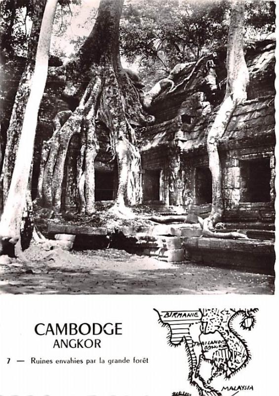 Angkor Cambodia, Cambodge Ruines envahies par la grande foret Angkor Ruines e...