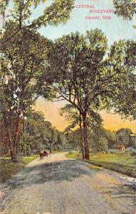 OMAHA NEBRASKA~HORSE & BUGGY ON CENTRAL BOULEVARD POSTCARD 1907 PSTMK TO POLK NB