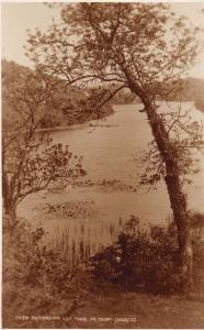 BOSHERSTON SOUTH PEMBROKESHIRE WALES UK LILY POOLS~TENBY JUDGES POSTCARD 1936