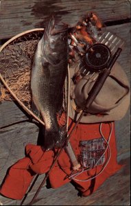 Fishing Rod Fish Catch Flies Fly Fishing Sportsman's Dream 1960s Postcard