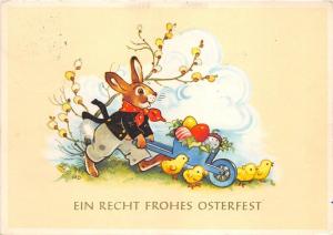 BG9044 rabbit humanized chick egg   ostern easter greetings germany
