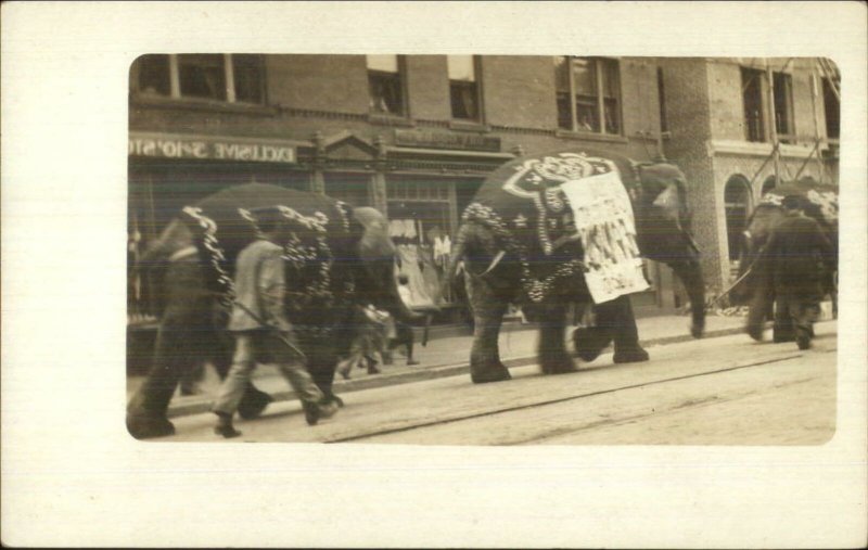 Circus Elephants Parade Unidentified c1910 Real Photo Postcard #1