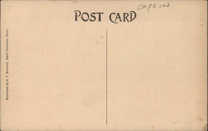 Cape Cod Massachusetts MA Church 1900s-10s Postcard