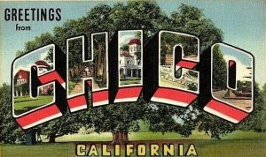 Vintage Greetings From Chico, California Pictures In Letters Postcard P122