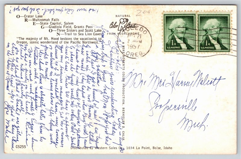 Oregon~Mountain From Tree Key On Back~Large Letter Vintage Linen Postcard