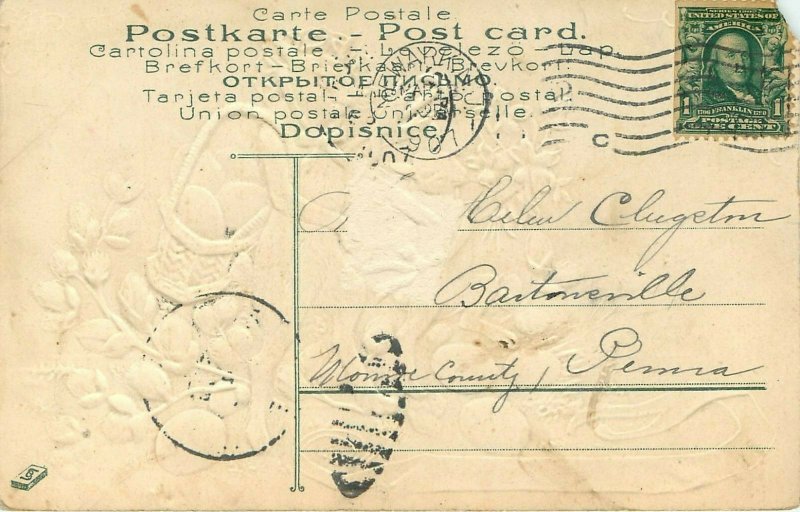 Anthropomorphic Bunny Rabbit Easter Egg Embossed pm 1907 Postcard